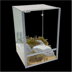 Diversa Spider Terrarium 20X20x30cm