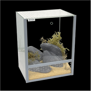 Diversa Spider Terrarium 20X15x20
