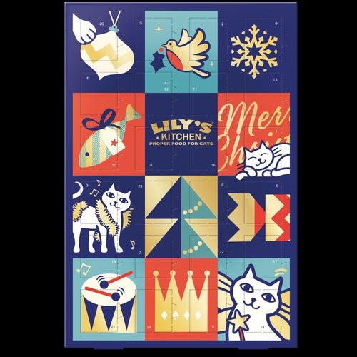Advent Calendar for Cats 42g