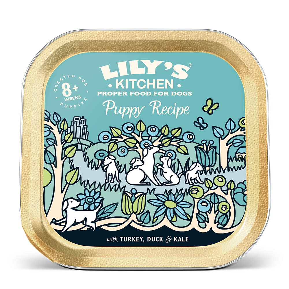 Puppy Recipe Turkey & Duck 150g