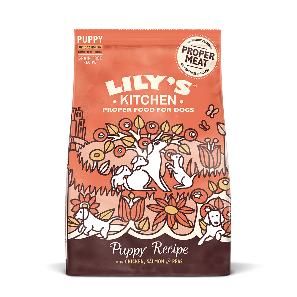 Chicken & Salmon Puppy Recipe 2.5kg
