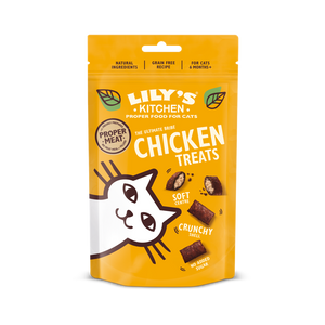 Cat Pillow Treat Chicken