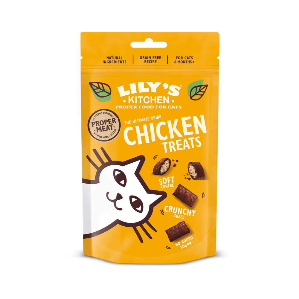 Cat Pillow Treat Chicken