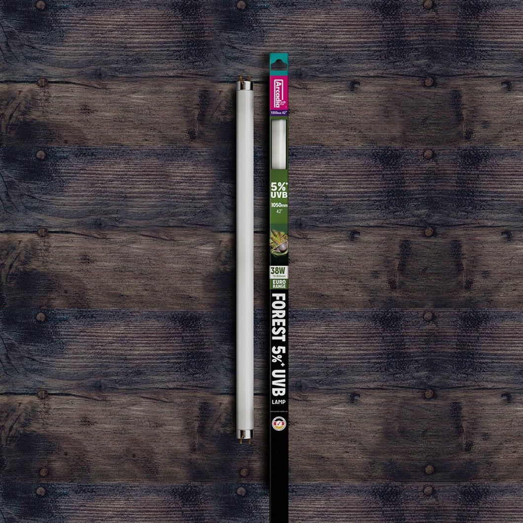 Arcadia Euro-Range Forest 5% UV Tube, 105cm (42