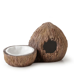 Exo Terra Tiki Coconut Hide & Water Dish