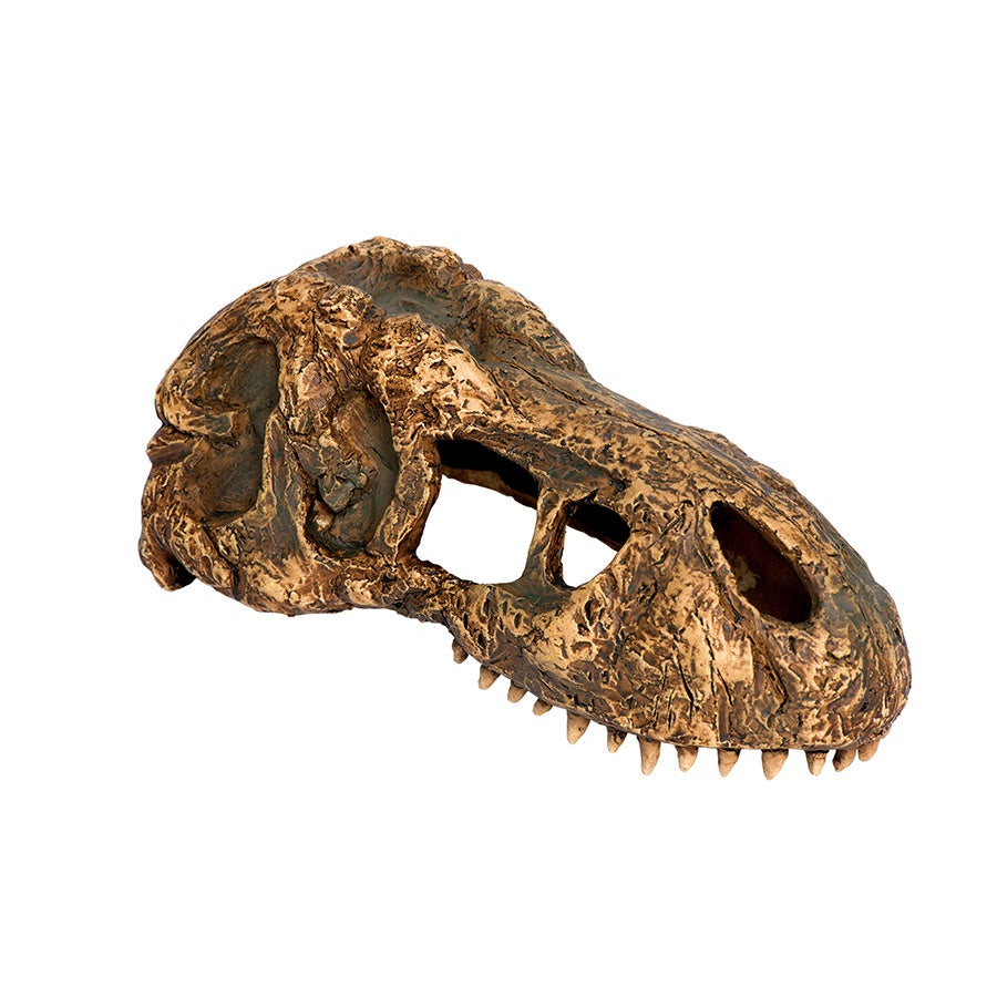 Exo Terra T-Rex Skull Small