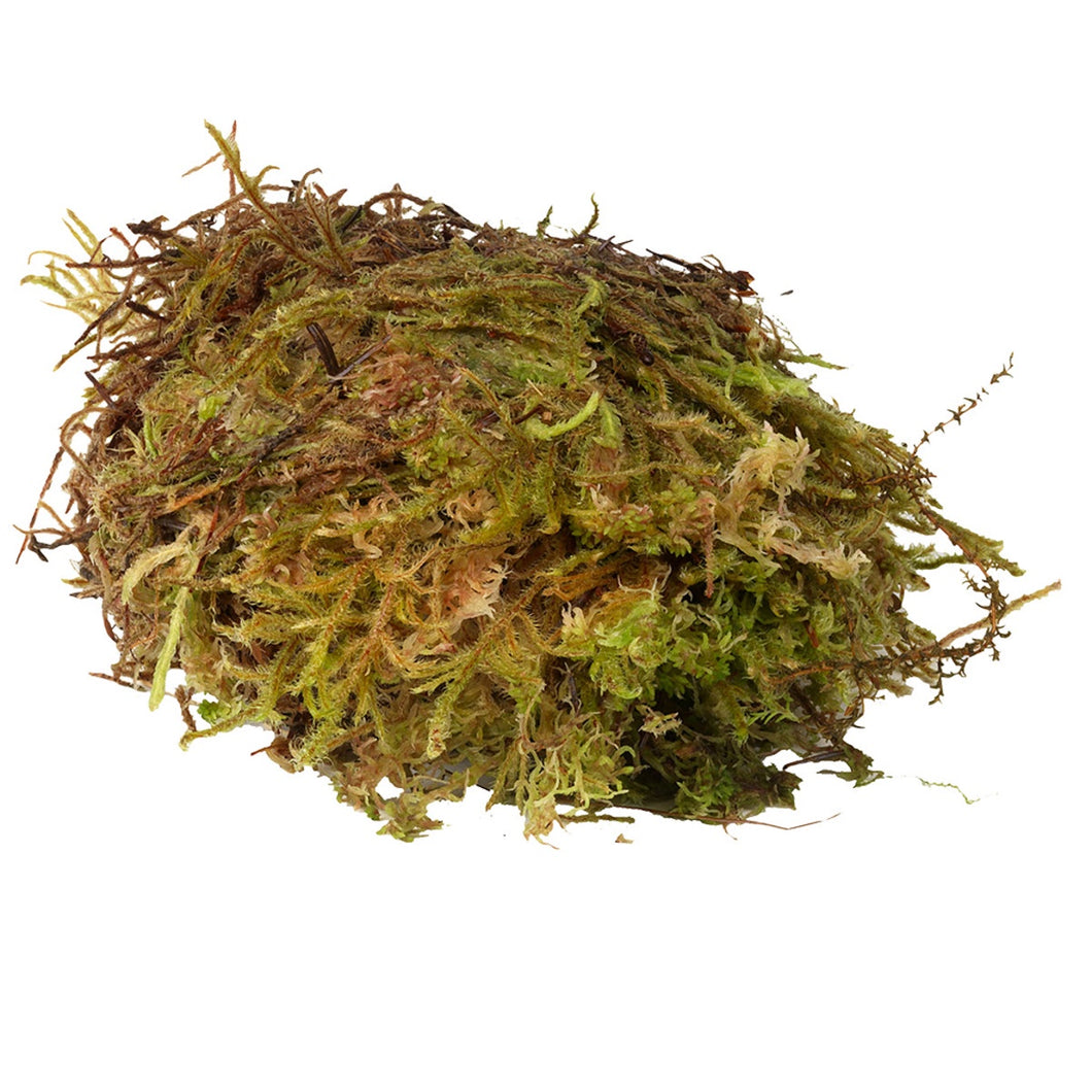 HabiStat Sphagnum Moss, 250g