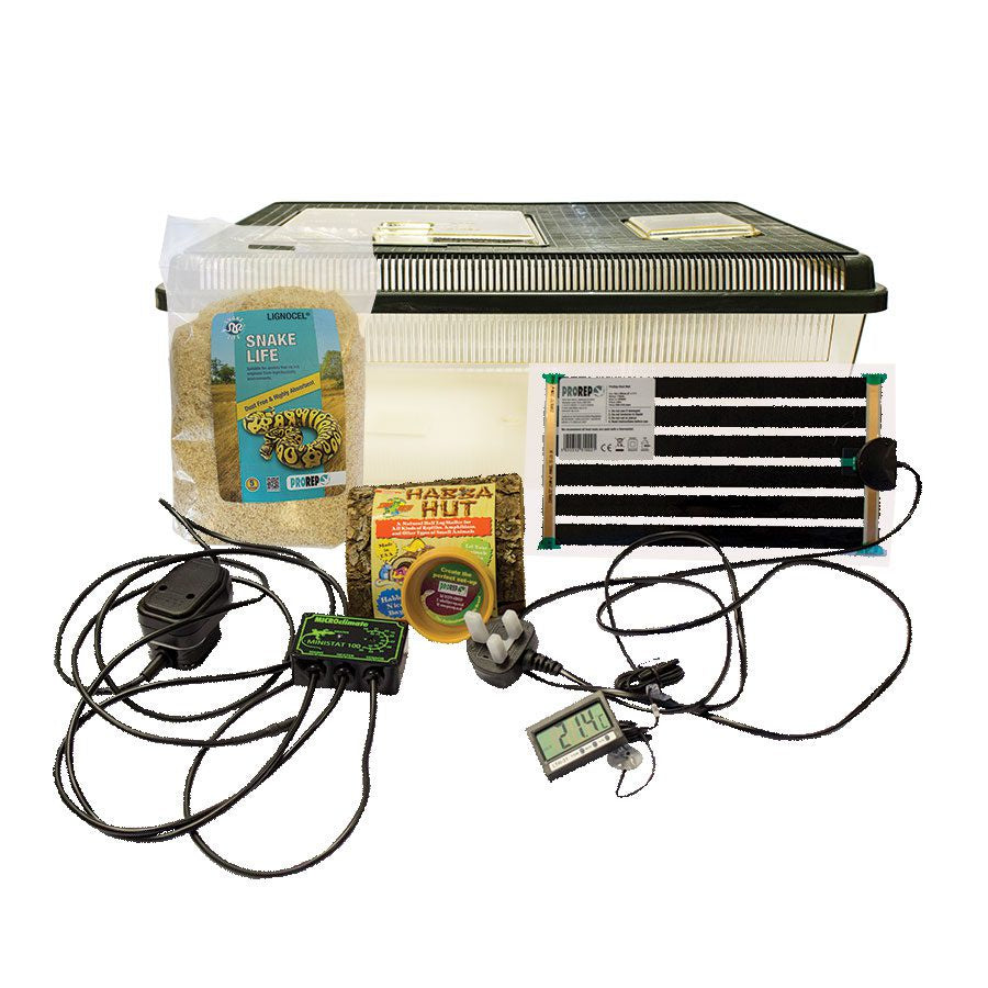 Peregrine Hatchling Snake Kit – Epping Reef and Reptiles