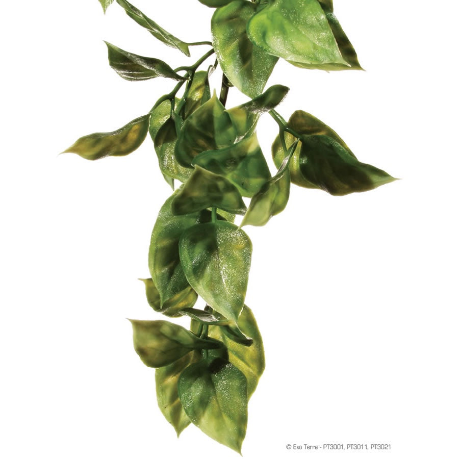 Exo Terra Plastic Plant Amapallo Large
