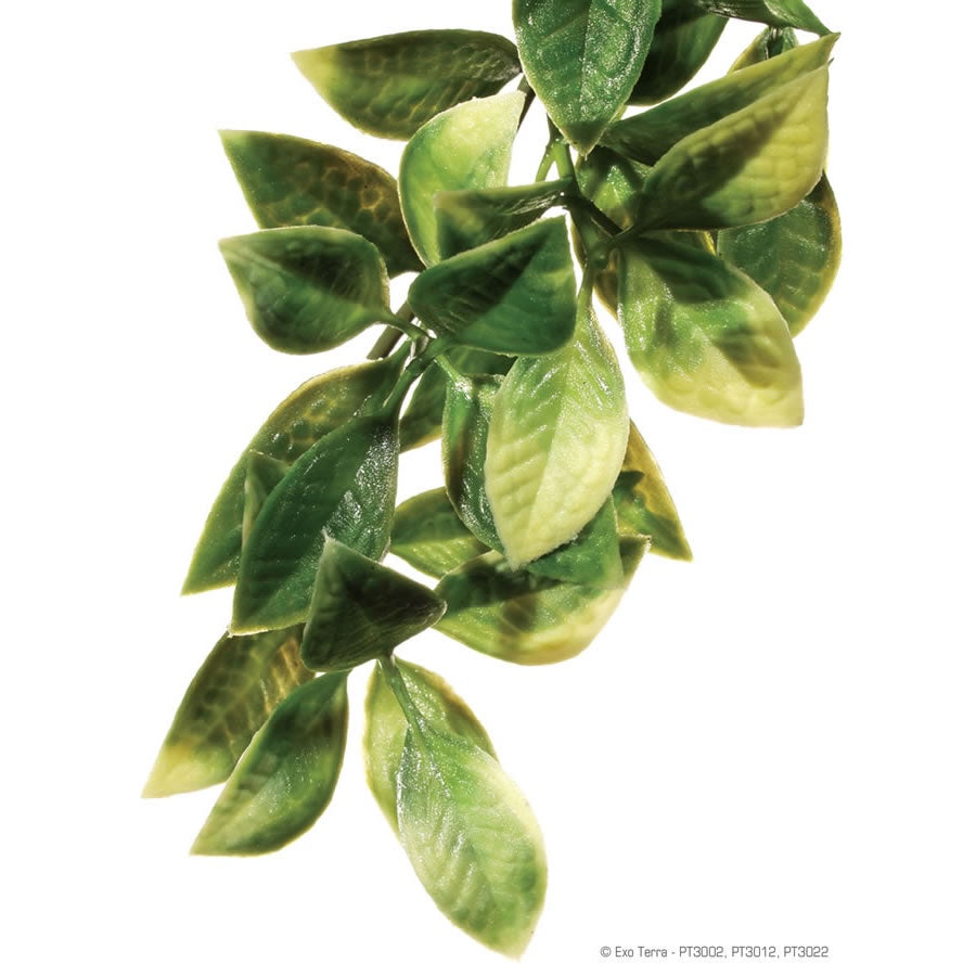 Exo Terra Plastic Plant Mandarin Large