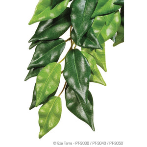 Exo Terra Silk Plant Ficus Medium
