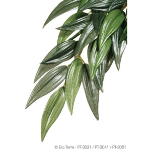 Exo Terra Silk Plant Ruscus Medium