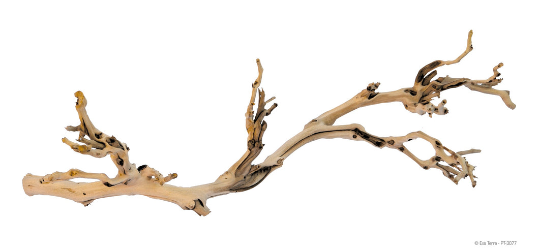 Exo Terra Forest Branch Small