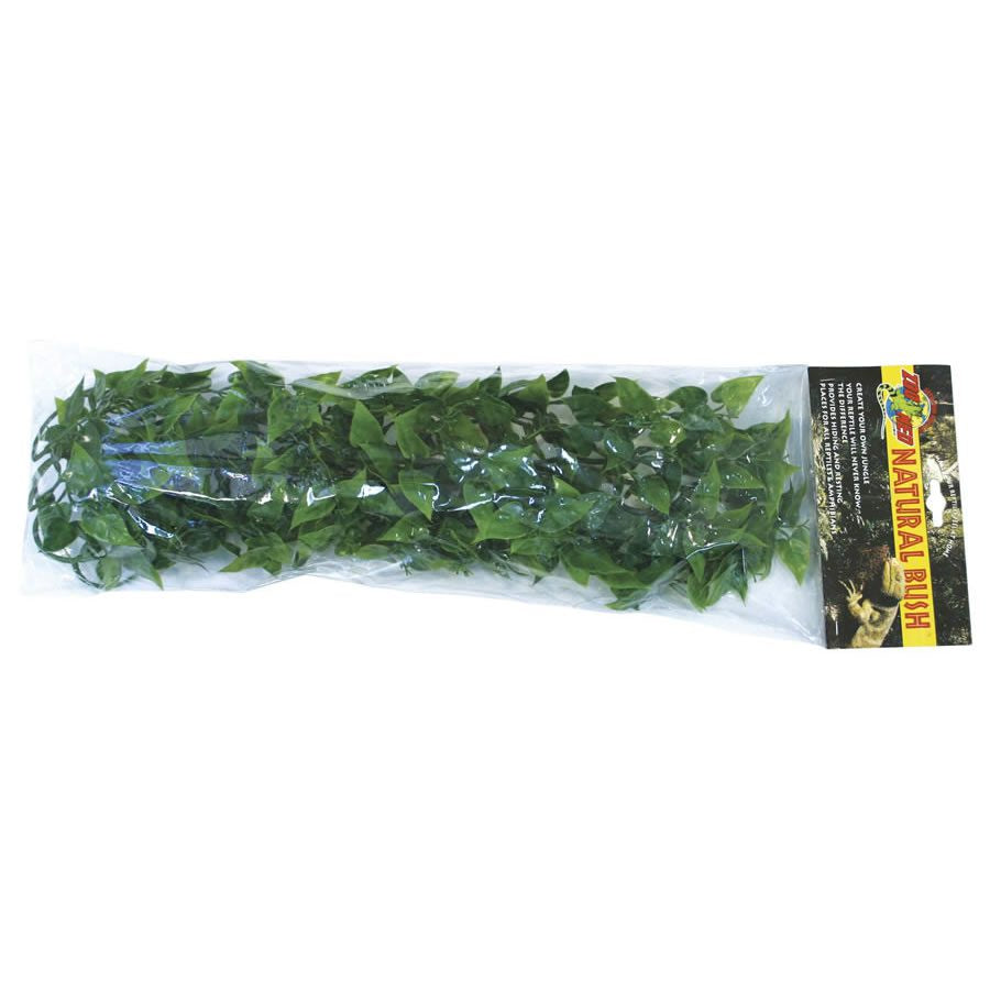 Zoo Med Mexican Phyllo, Large
