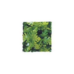 Zoo Med Amazonian Phyllo, Large
