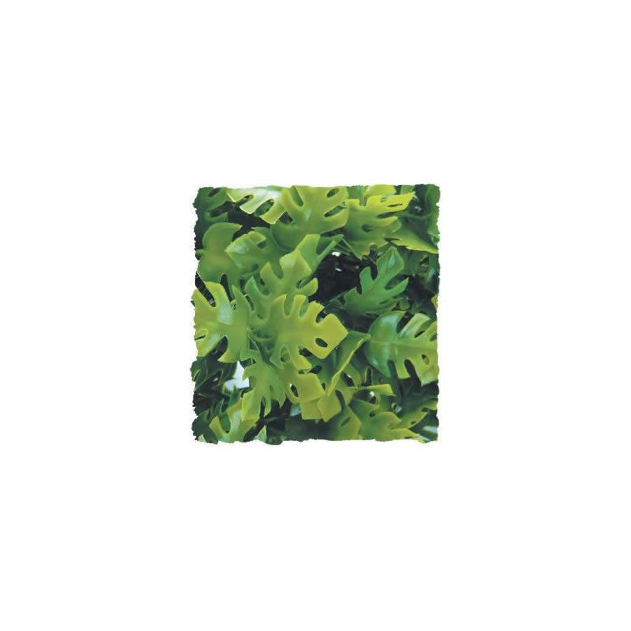 Zoo Med Amazonian Phyllo, Large