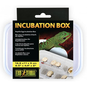 Exo Terra Incubator Box
