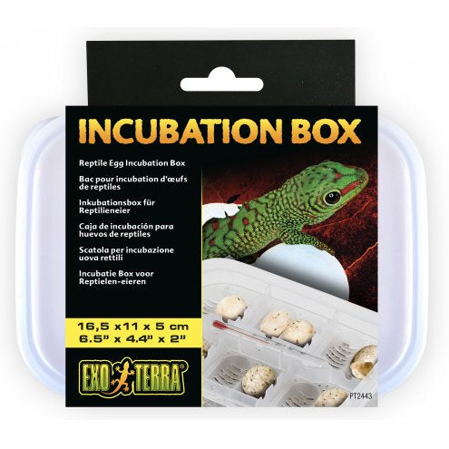 Exo Terra Incubator Box