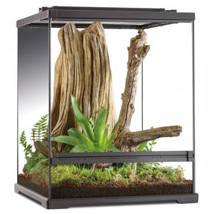 Exo Terra Tree Frog Terrarium 45x45x60cm