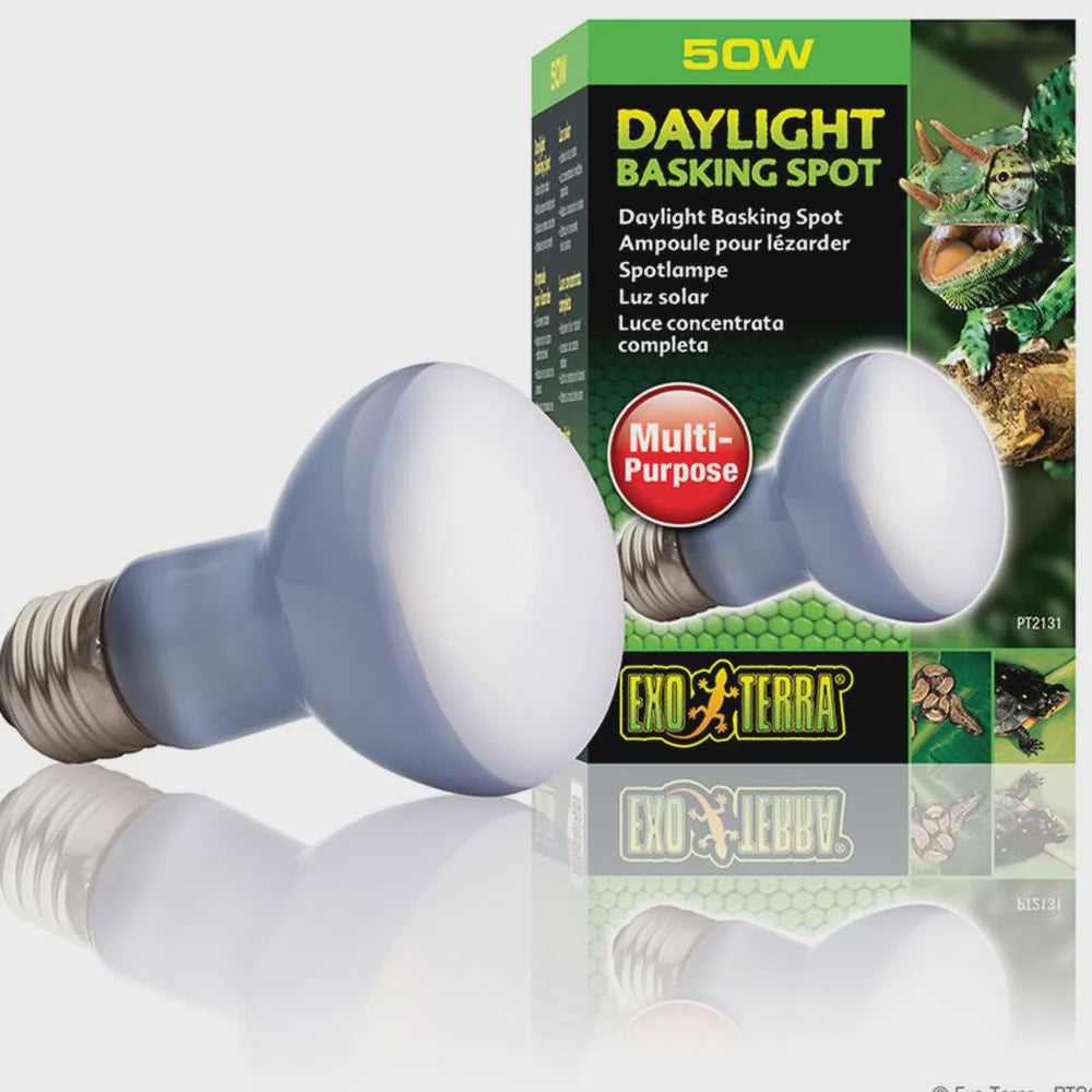 Exo Terra Daylight Basking Spot 50W