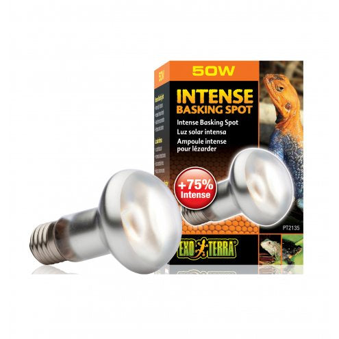 Exo Terra Intense Basking Spot 50W